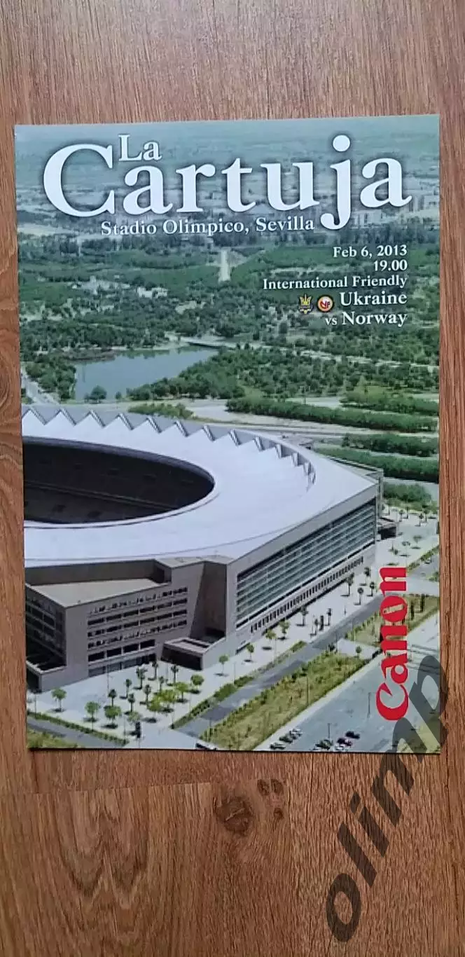 Украина-Норвегия 06.02.2013