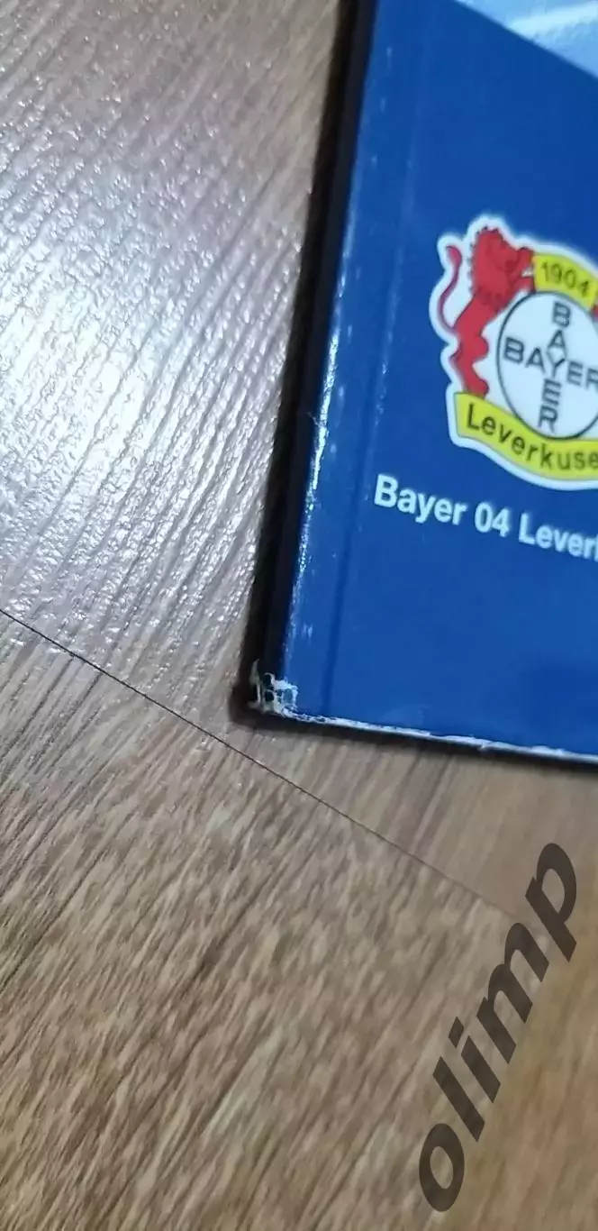 Байер Леверкузен-Реал Мадрид 15.05.2002, Финал Лиги Чемпионов 4