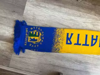 ФК Закарпатье (Ужгород)