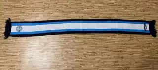 ФК Днепр(Днепропетровск) 4-я модель.