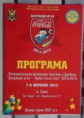 Финальный турнир Кожаный мяч, Сумы-2014, участники на втором фото