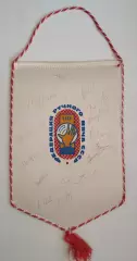 ГАНДБОЛ. 50 лет гандболу Нидерландов 1986, сб.СССР или Спартак Киев, автографы