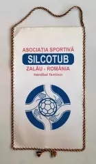 ГАНДБОЛ. Силкотуб, Румыния, см.описание, Запорожье