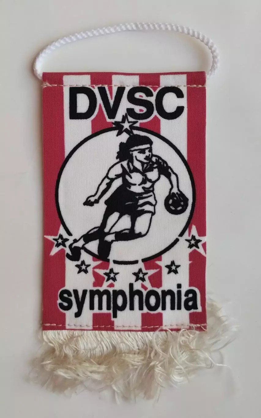 ГАНДБОЛ. DVSC, Венгрия, см.описание, Запорожье