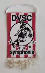 ГАНДБОЛ. DVSC, Венгрия, см.описание, Запорожье
