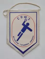 ГАНДБОЛ. Буревестник/СКА Минск, ветераны