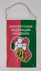 ГАНДБОЛ. Федерация гандбола Беларуси, см.описание, Запорожье