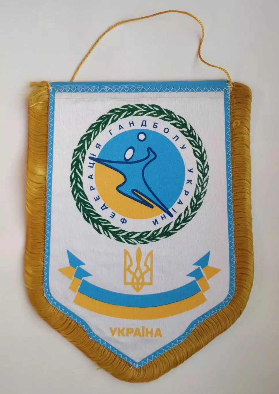 ГАНДБОЛ. Федерация гандбола Украины, см.описание, Запорожье, вид 3