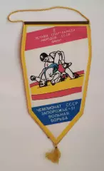 Борьба. Чемпионат СССР по вольной борьбе, Запорожье-1991