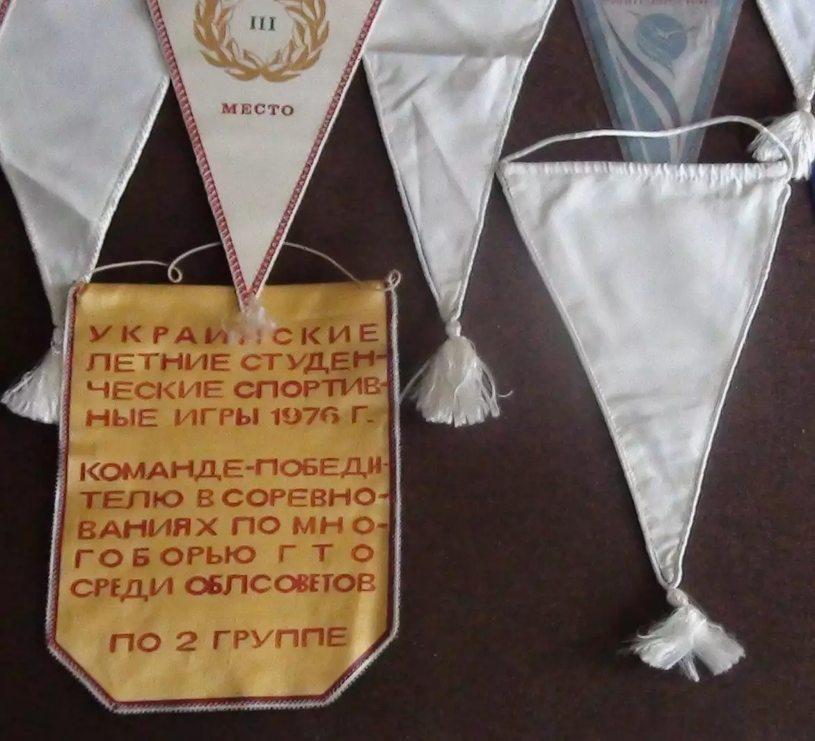 Спорт. Коллекция вымпелов ДСО Буревестник 5