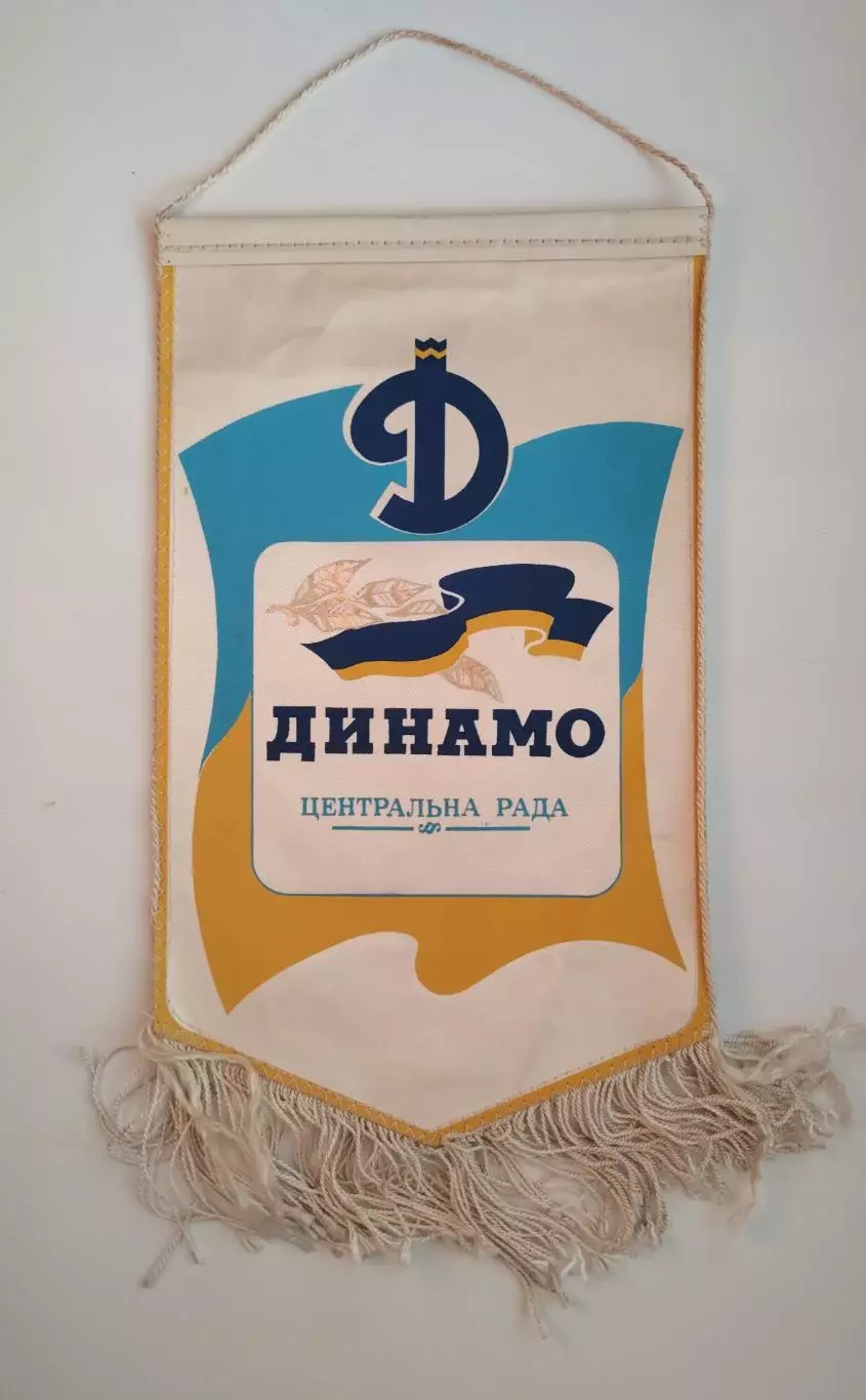 Спорт. ДСО Динамо, Центральный Совет Украины