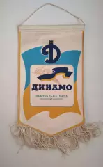 Спорт. ДСО Динамо, Центральный Совет Украины