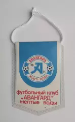 Авангард Жёлтые Воды