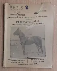 Спортивные состязания конников, Кировск, Луганская обл, 1937 год, оригинал