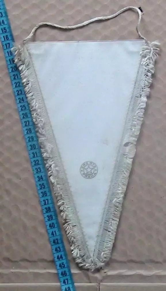 Вымпел ФК Айнтрахт Брауншвейг, Германия, вид 1 1