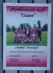 Олимп Камянка - Заря Билозирья 2013