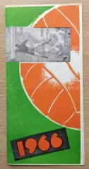 Темп Барнаул - Сокол Саратов 1966, кубок