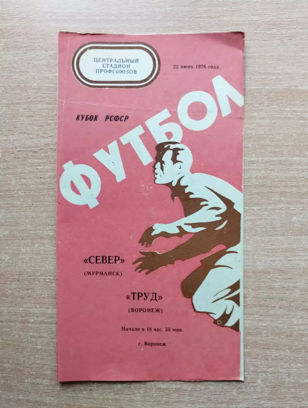 Труд Воронеж - Север Мурманск 1976, кубок