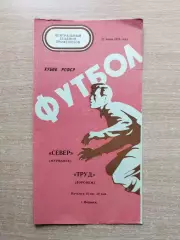 Труд Воронеж - Север Мурманск 1976, кубок