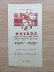 Горынь Ровно - Буковина Черновцы 1971