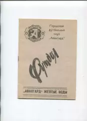 Авангард Жёлтые Воды - Кировец Макеевка 1990, КФК