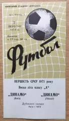 Дубль. Динамо Киев - Динамо Тбилиси 1973