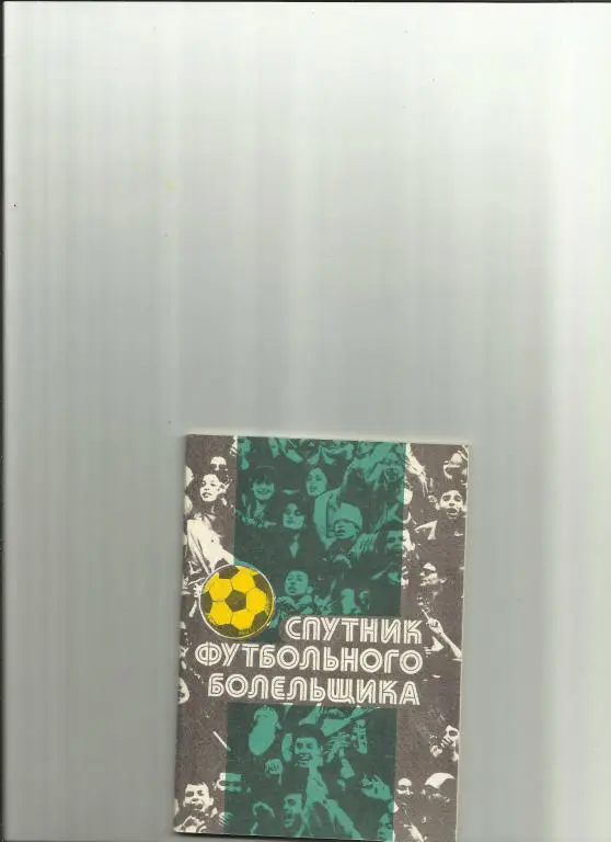 спутник футбольного болельщика