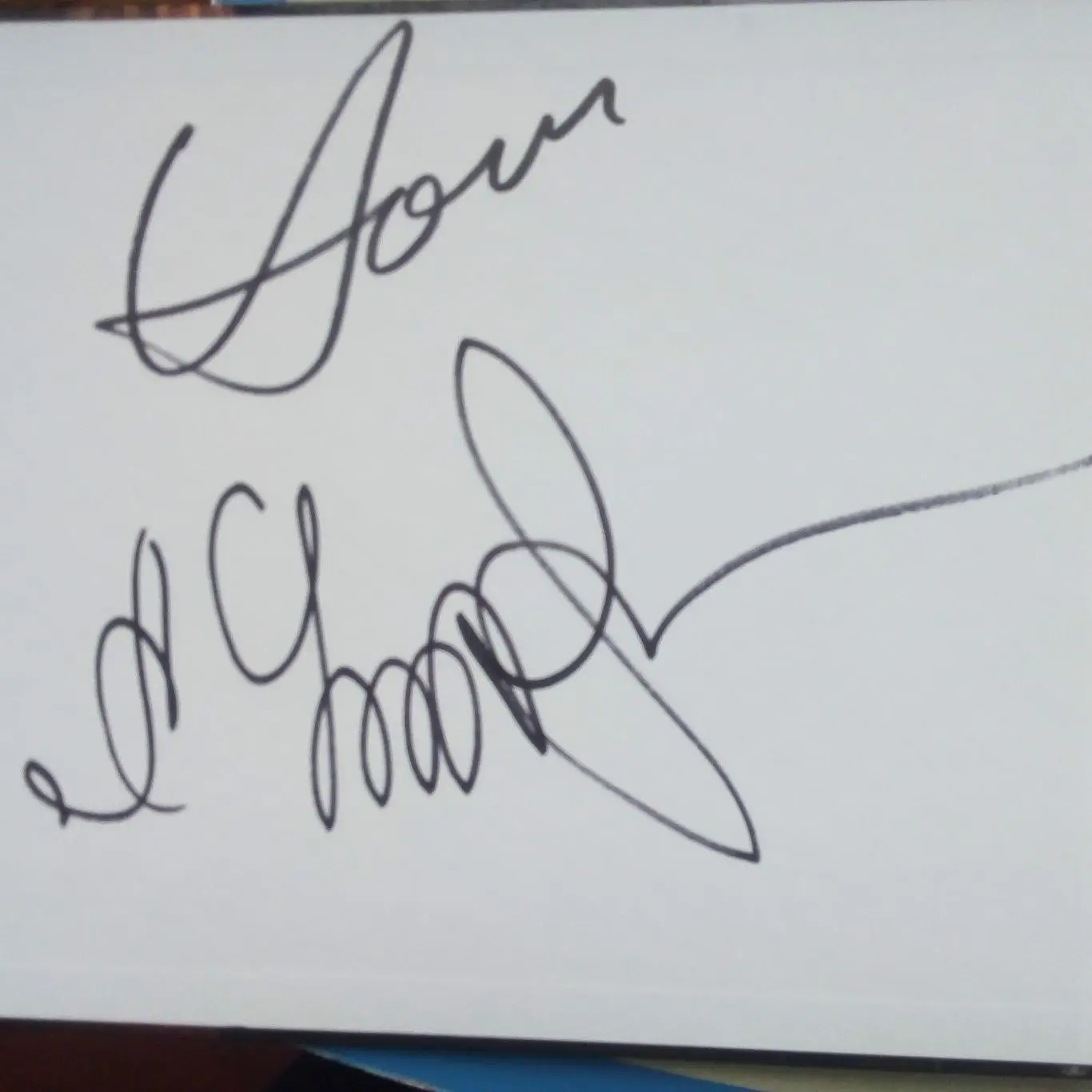 Автографы. Бокс. Александр Усик и Владимир Ломаченко 1