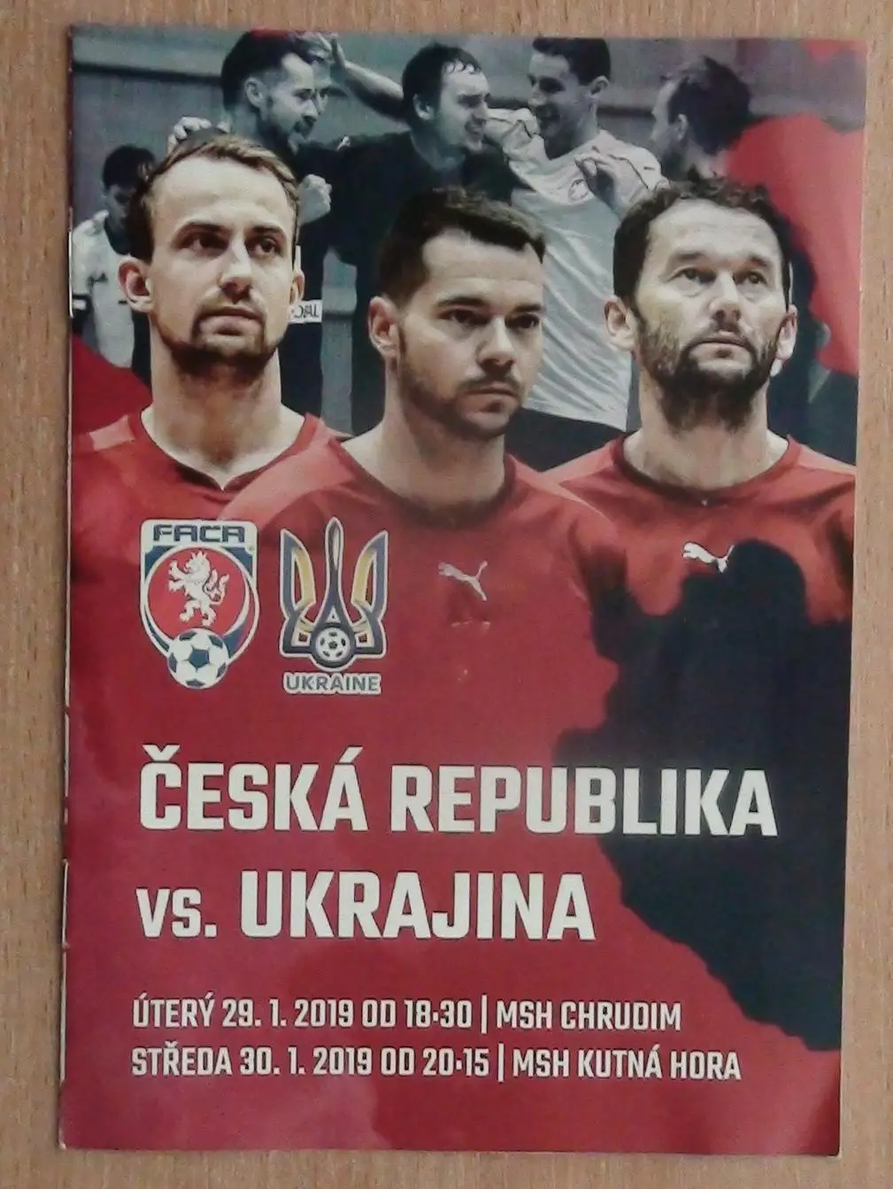 Чехия - Украина 29-30.01.2019