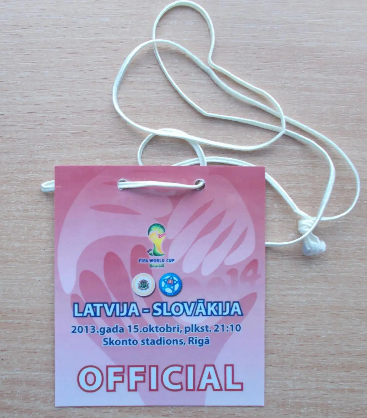 Латвия - Словакия 2013, официальное лицо (судья)