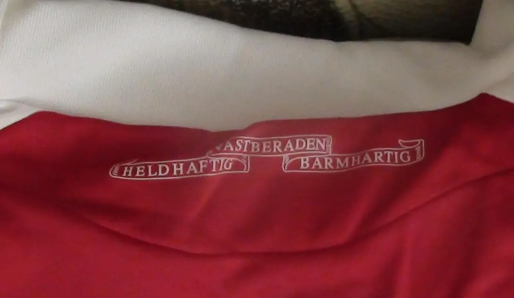 Оригинальная матчевая футболка Аякс Амстердам Нидерланды, с матча Динамо Кие 5