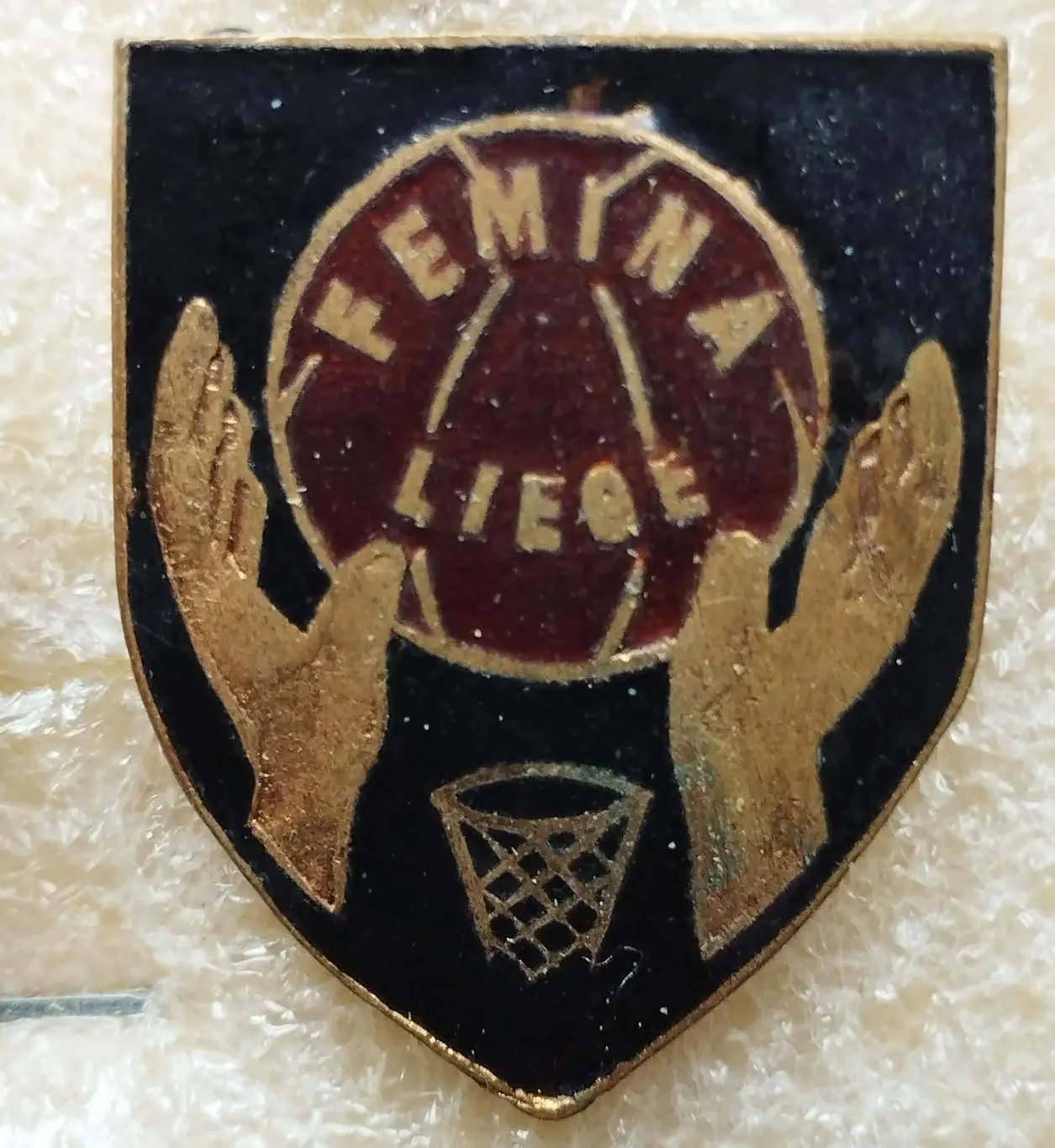 Баскетбол. Фемина Льеж, Бельгия