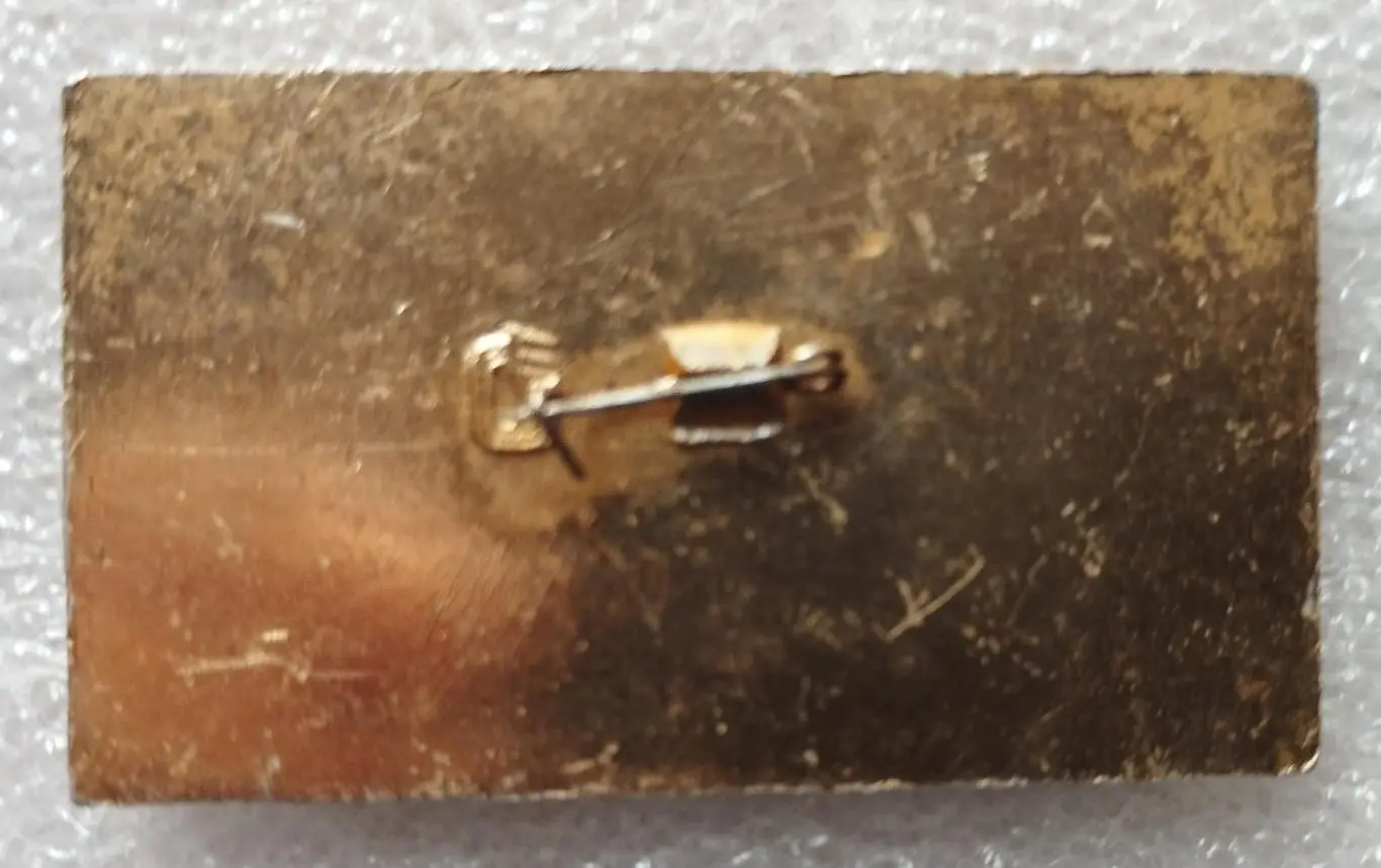 Олимпийские игры. СССР, Москва, 1980 год, переводчик 1