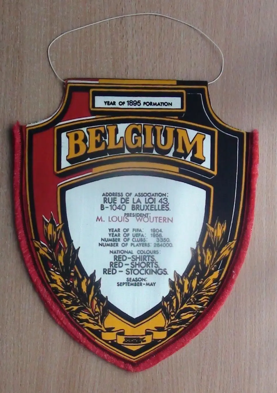 Федерация футбола Бельгии, вид 1 1