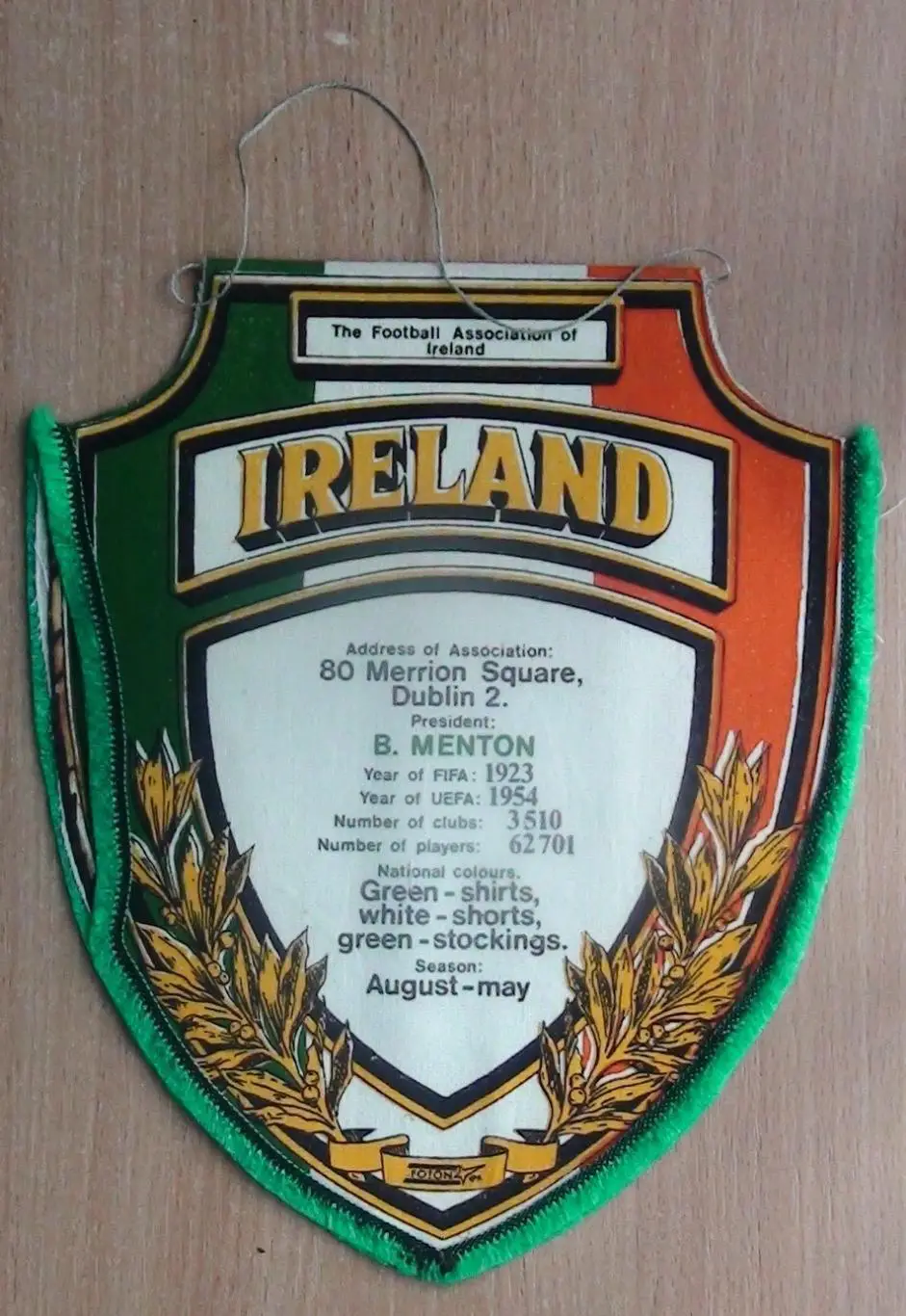 Федерация футбола Ирландии 1