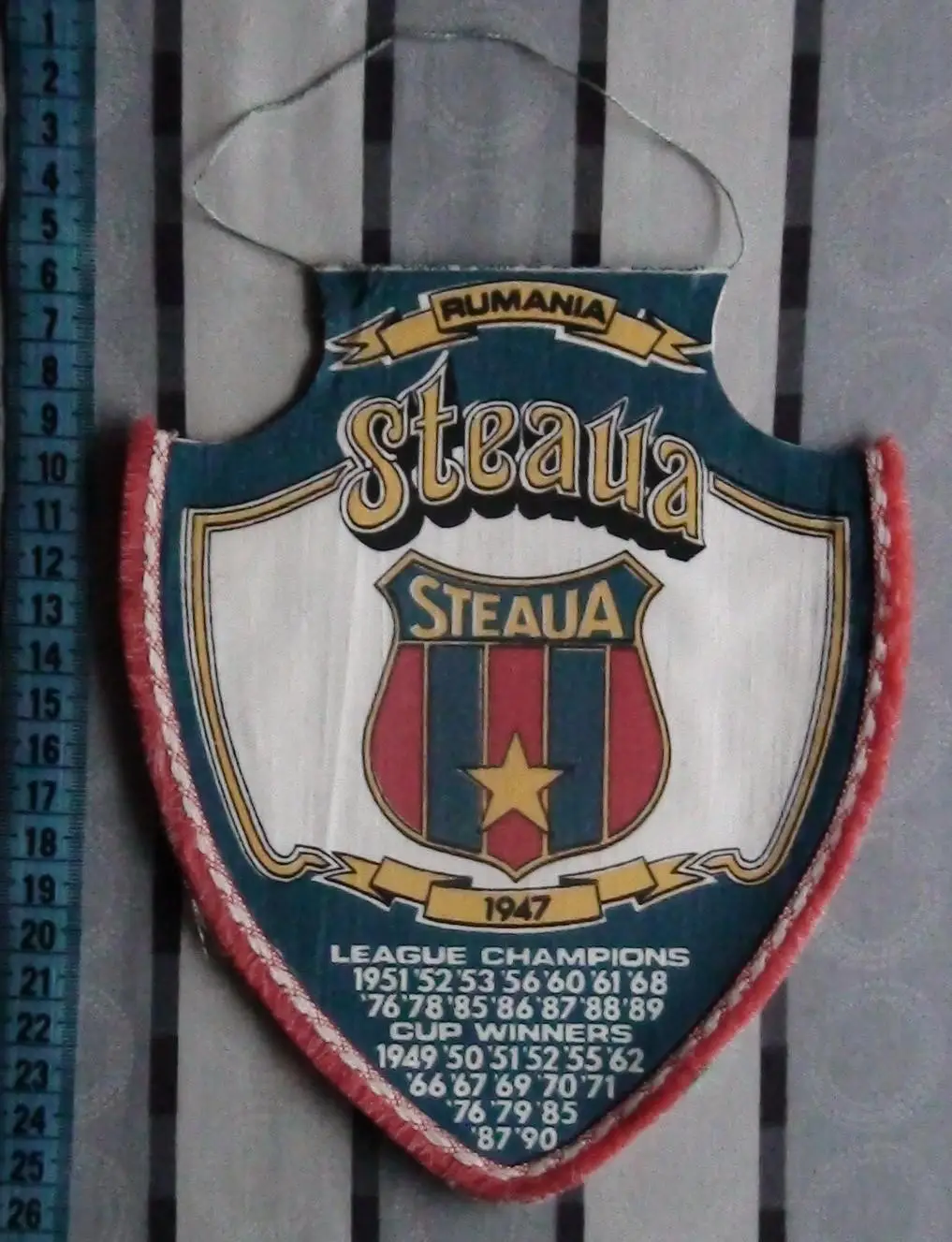 Стяуа Бухарест, Румыния, вид 1