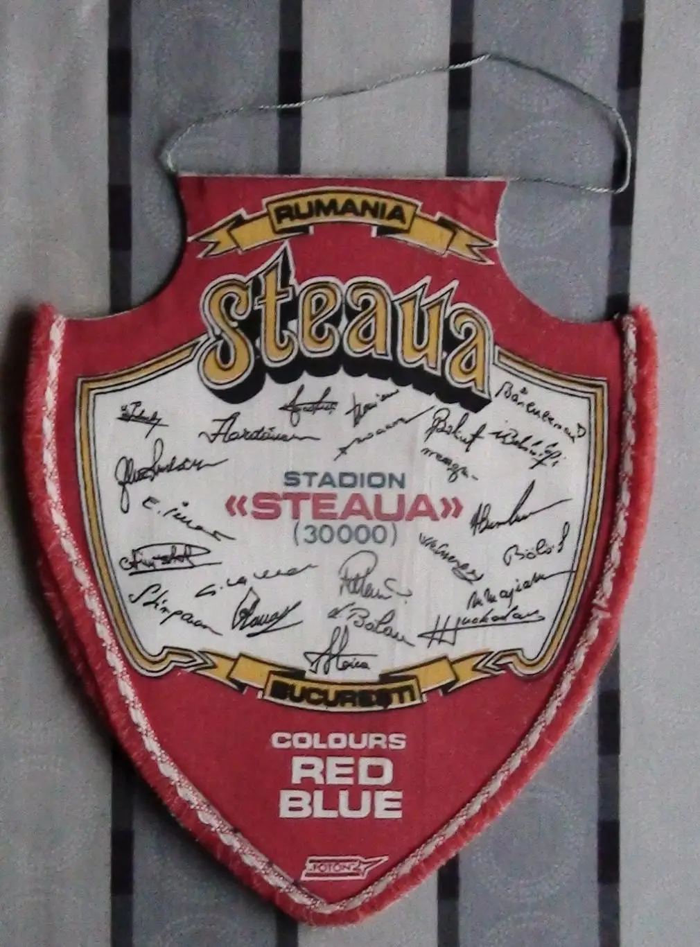 Стяуа Бухарест, Румыния, вид 1 1