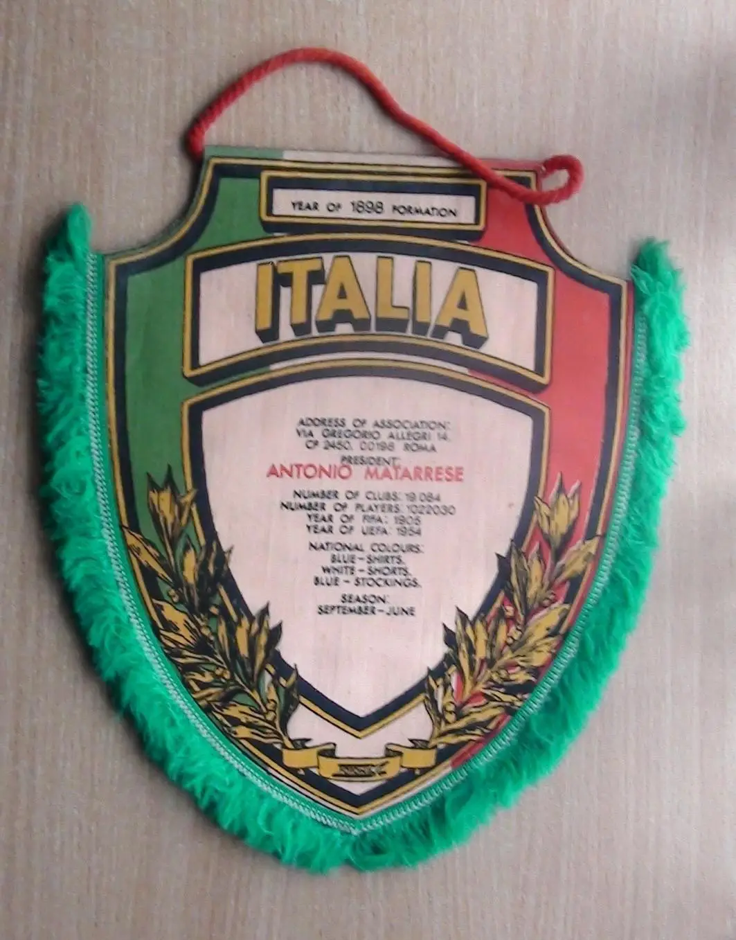 Федерация футбола Италии 1