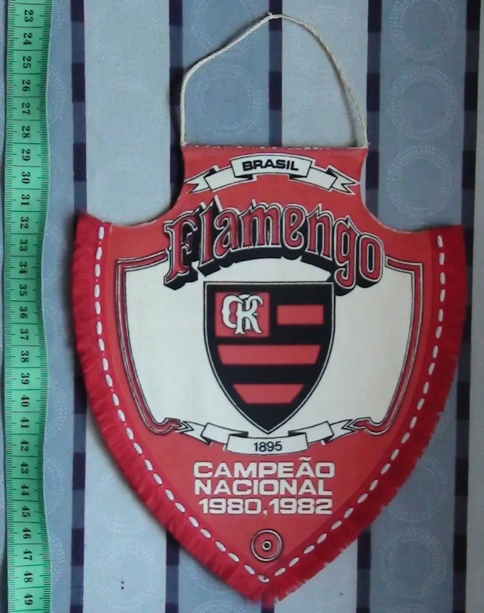 Фламенго Рио-де-Жанейро, Бразилия, вид 1