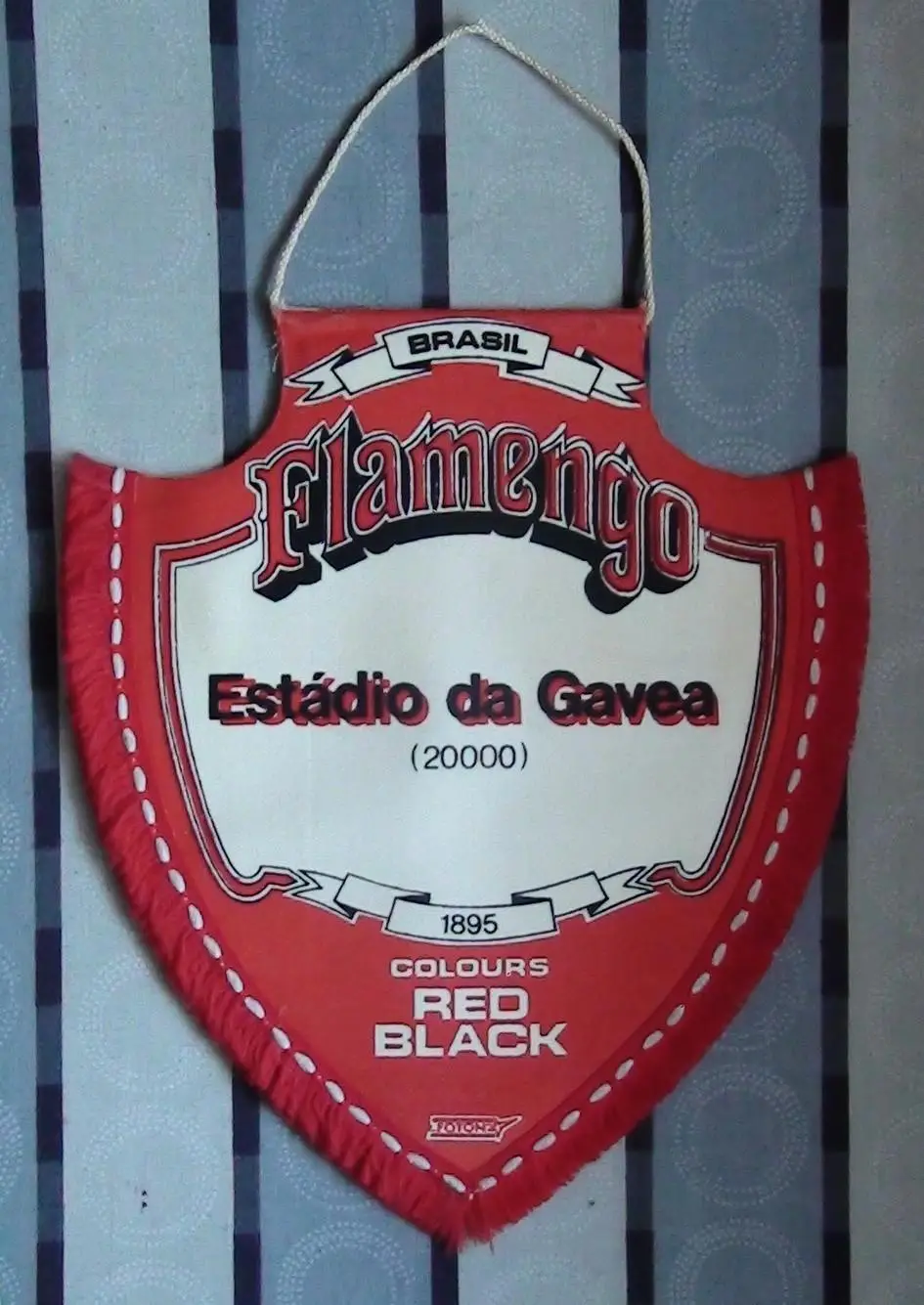 Фламенго Рио-де-Жанейро, Бразилия, вид 1 1