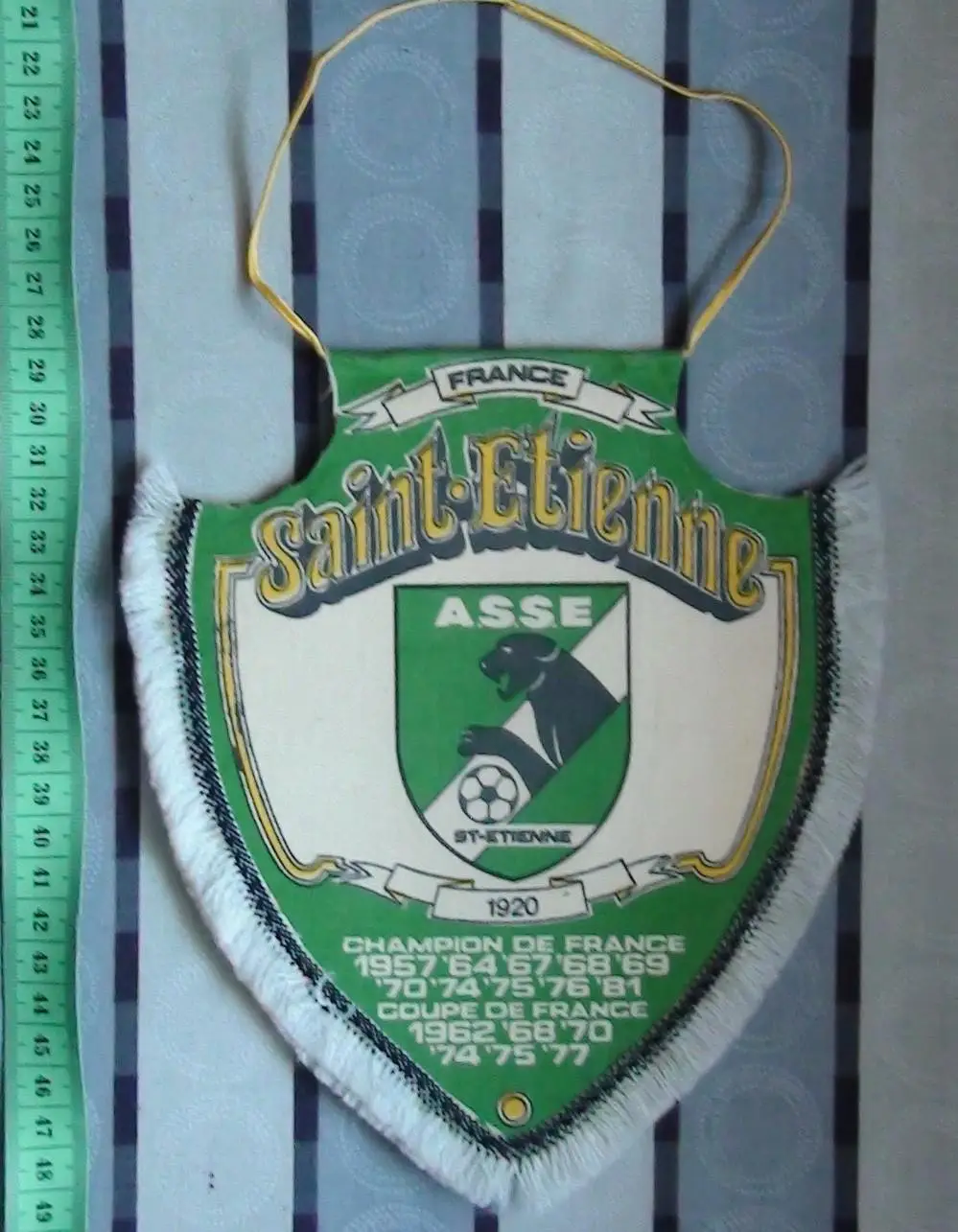 Сент-Этьен Сент-Этьен, Франция