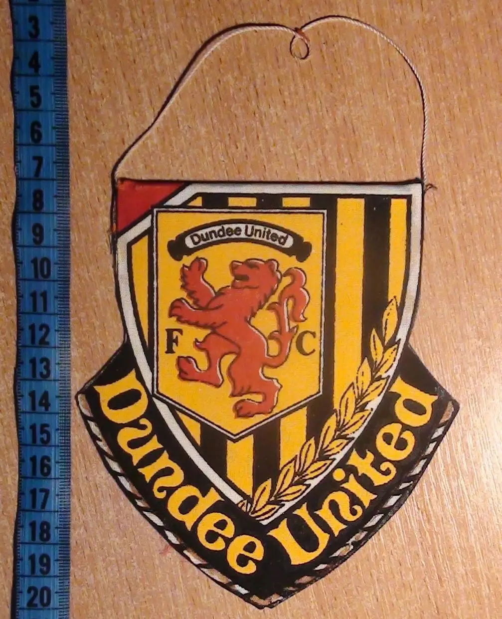 Данди Юнайтед Данди, Шотландия