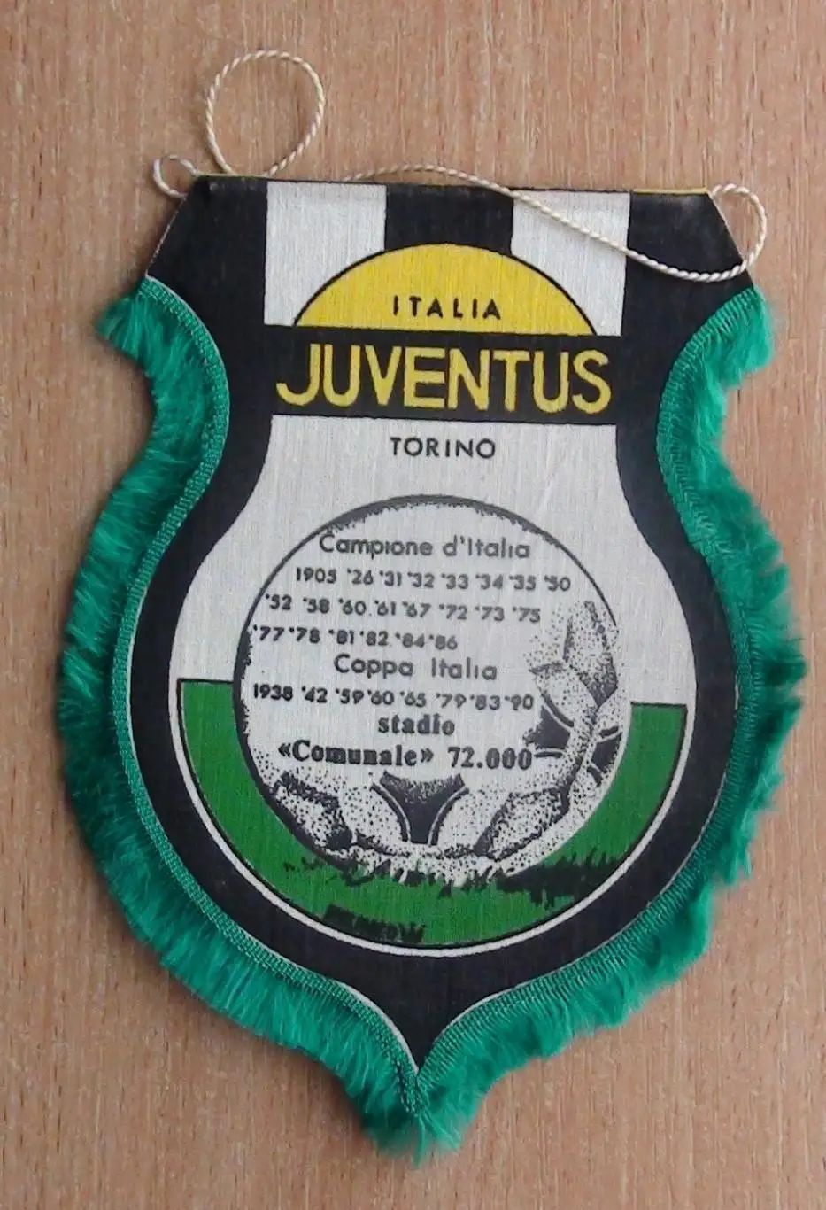 Ювентус Турин, Италия, вид 1 1