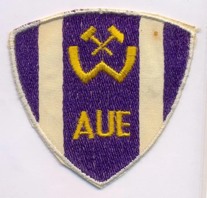 Нашивка. ФК ГДР, 1970-е гг, №4