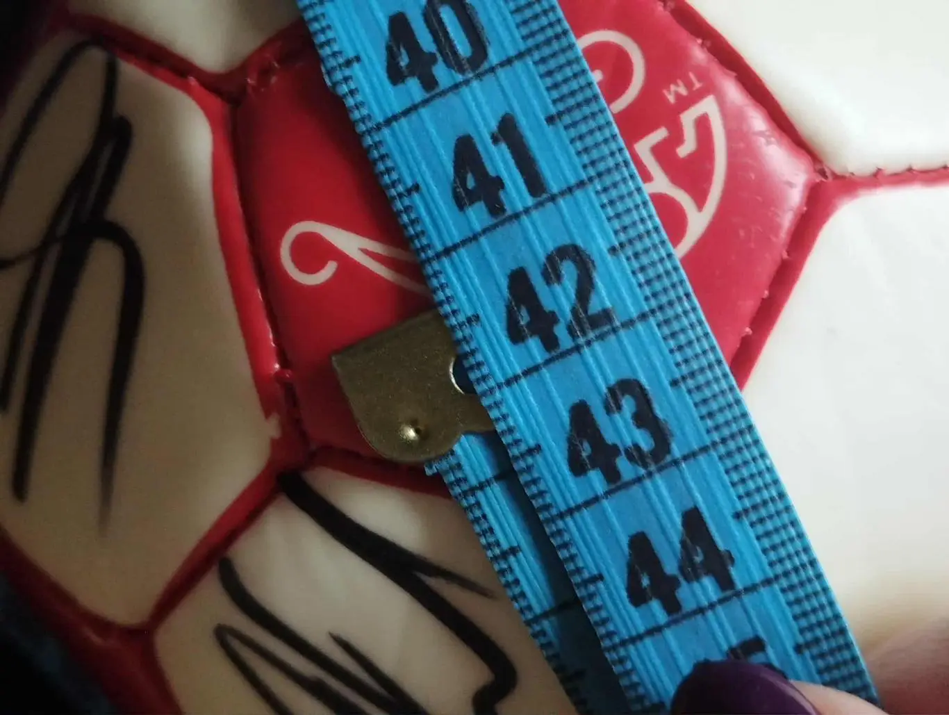 Официальный сувенирный мяч ФФ Швейцарии с оригинальными автографами игроков 7