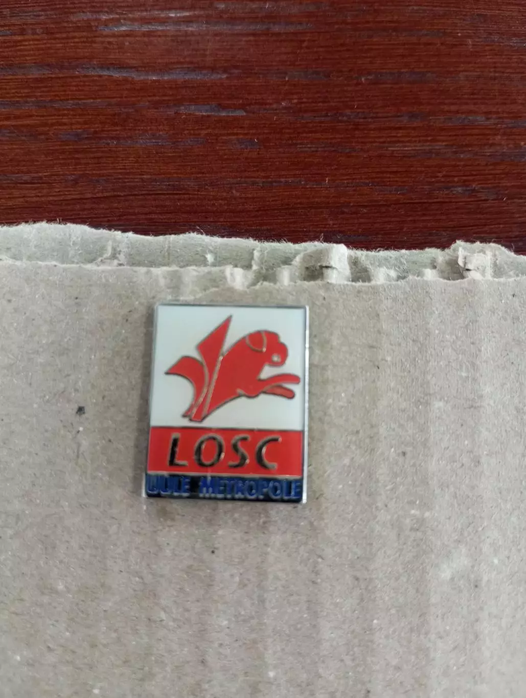 ФК Лилль (Франция)