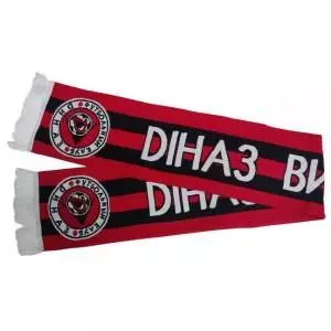 ФК Диназ(Вышгород)