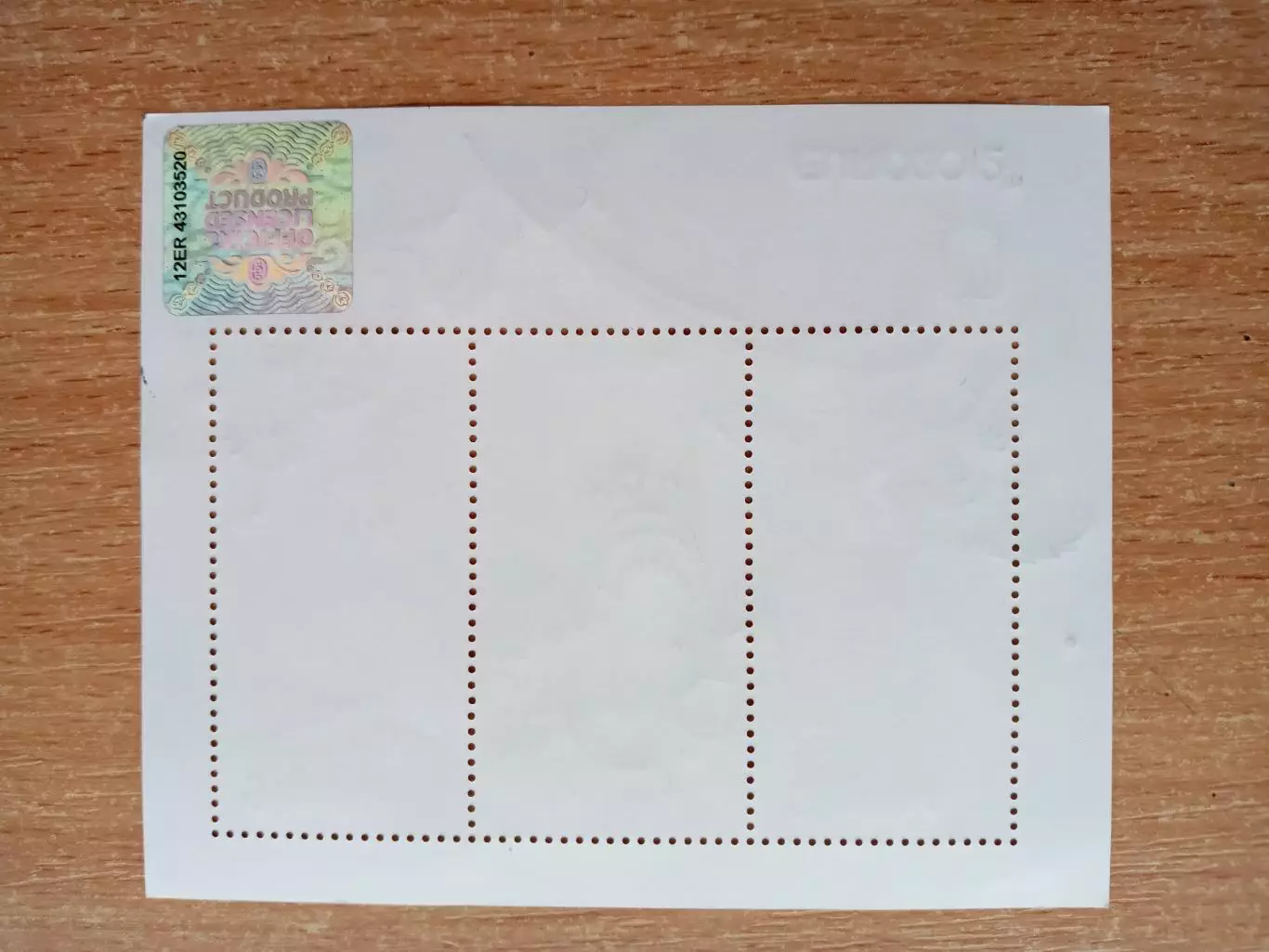 Блок. Украина встречает ЕВРО-2012 1