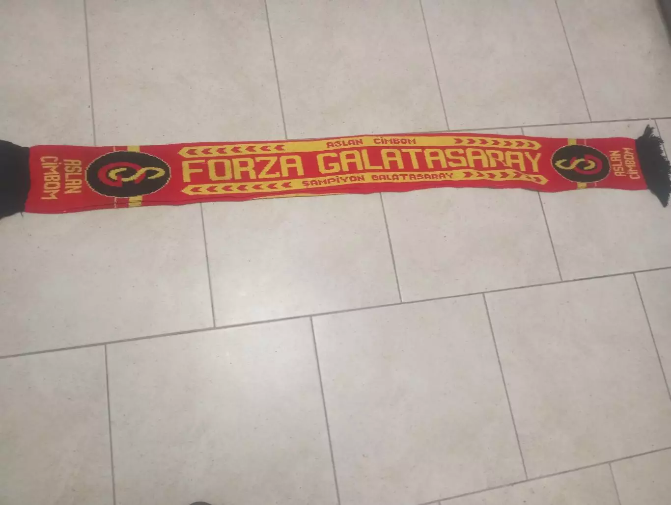 ФК Галатасарай(Турция)