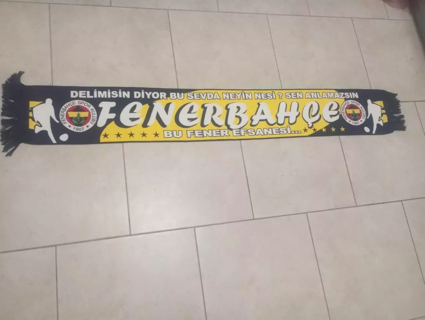 ФК Фенербахче(Турция)